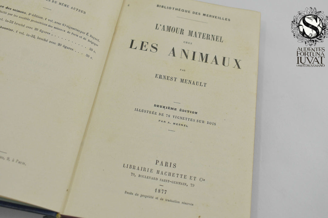 L'AMOUR MATERNEL CHEZ LES ANIMAUX - Ernest Menault