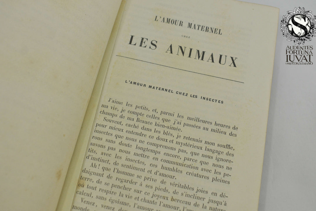 L'AMOUR MATERNEL CHEZ LES ANIMAUX - Ernest Menault