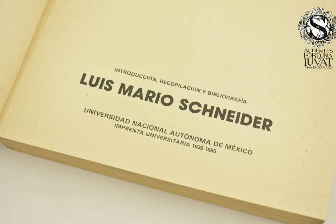 EL ESTRIDENTISMO - Luis Mario Schneider