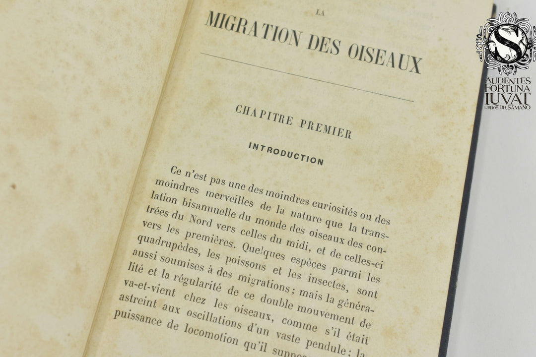 LA MIGRATION DES OISEAUX - A. de Brevans