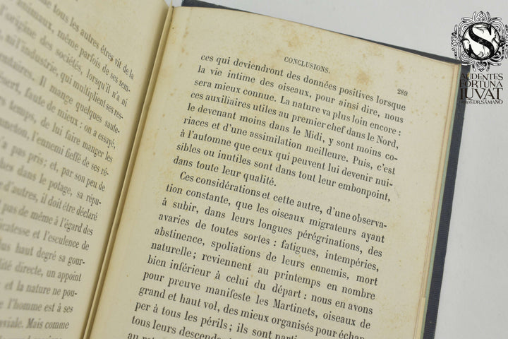 LA MIGRATION DES OISEAUX - A. de Brevans