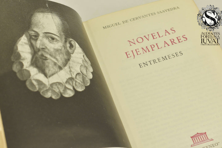 Novelas Ejemplares - MIGUEL DE CERVANTES SAAVEDRA