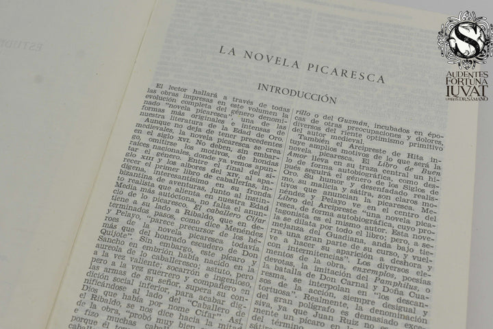 LA NOVELA PICARESCA ESPAÑOLA