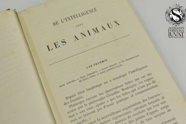 L'INTELLIGENCE DES ANIMAUX - Ernest Menault