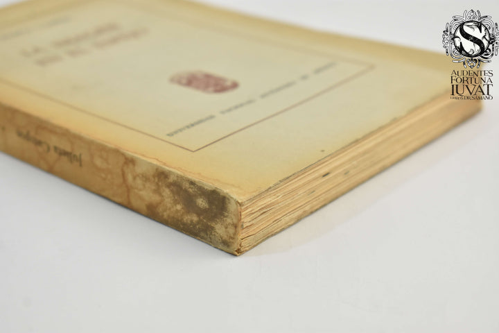 LA IMAGEN EN EL ESPEJO - Julieta Campos