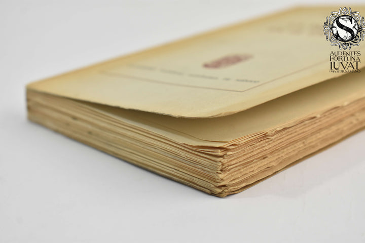 LA IMAGEN EN EL ESPEJO - Julieta Campos