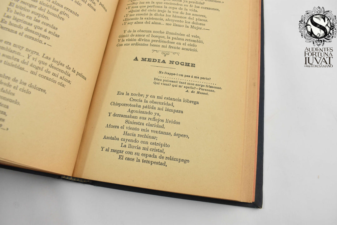 LOS TROVADORES DE MÉXICO - Varios