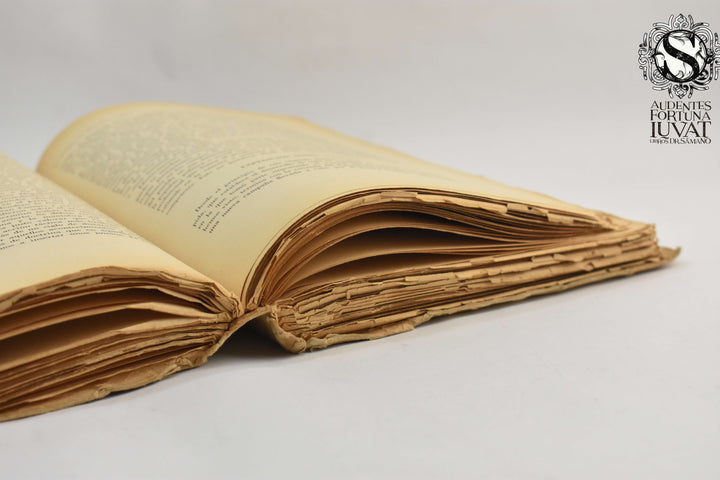 ZARAGOZA - Luis Ramírez Fentanes