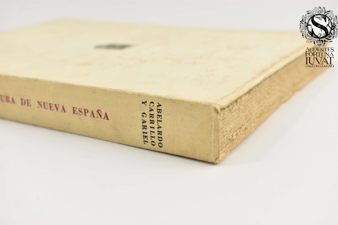 TÉCNICA DE LA PINTURA DE NUEVA ESPAÑA - Abelardo Carrillo y Gabriel