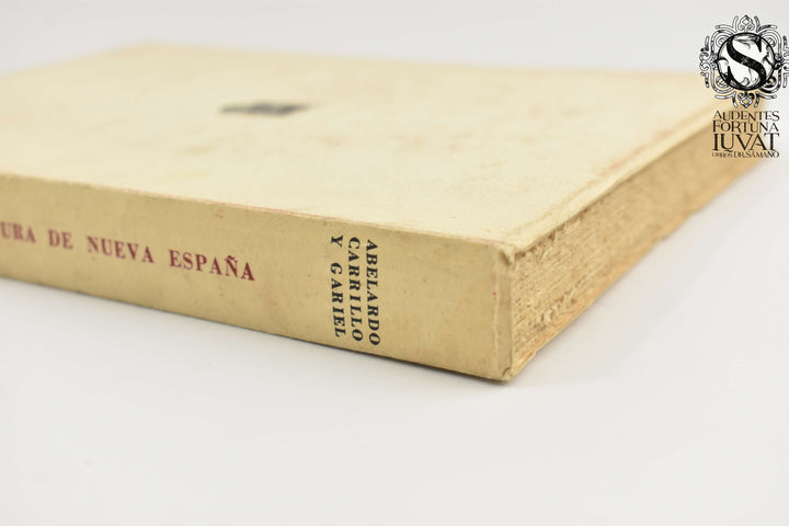 TÉCNICA DE LA PINTURA DE NUEVA ESPAÑA - Abelardo Carrillo y Gabriel