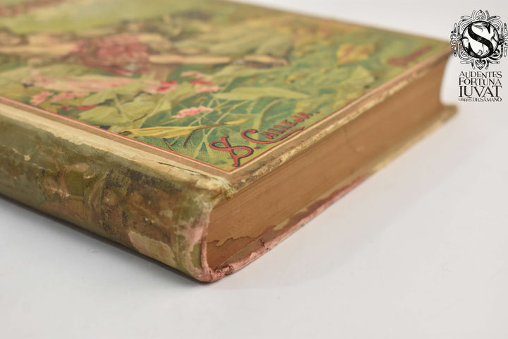 UN VIAJE POR AMÉRICA -  Manuel María Guerra