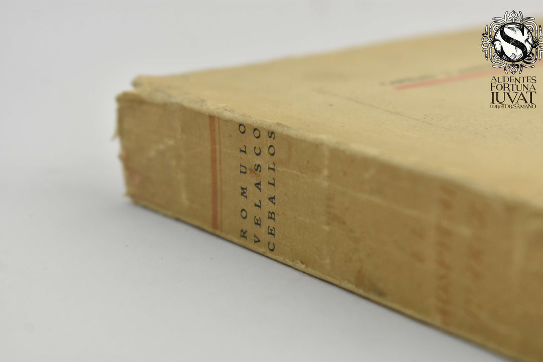 EL HOSPITAL JUÁREZ -  Romulo Velasco Ceballos