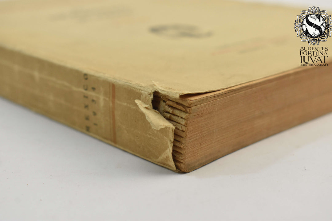 EL HOSPITAL JUÁREZ -  Romulo Velasco Ceballos