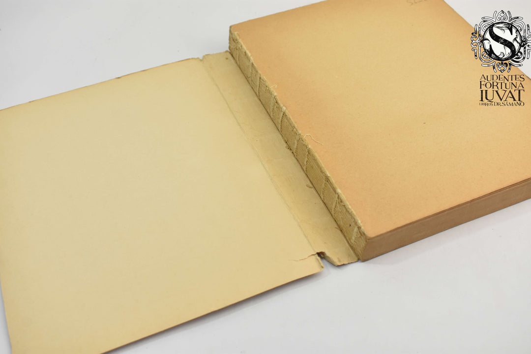 EL HOSPITAL JUÁREZ -  Romulo Velasco Ceballos