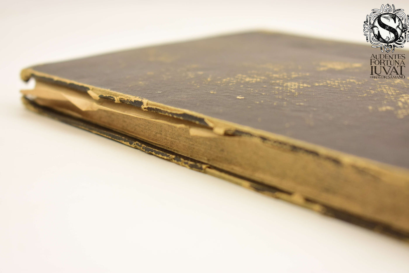 Manual del Dibujante - A.M. PERROT