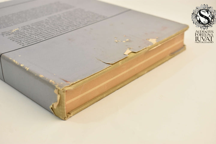 LOS CHICHIMECAS -  Pablo G. Macías Guillén