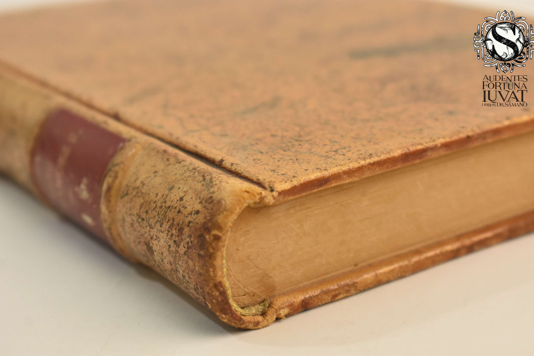 TRECE GANADEROS ROMÁNTICOS - Luis Fernández Salcedo