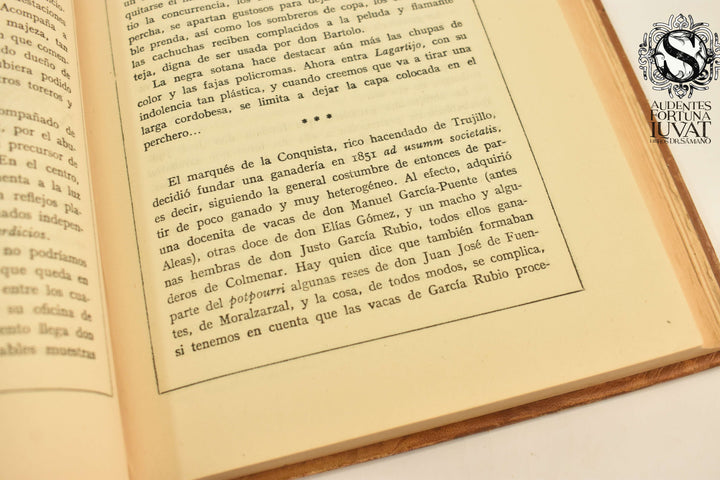 TRECE GANADEROS ROMÁNTICOS - Luis Fernández Salcedo