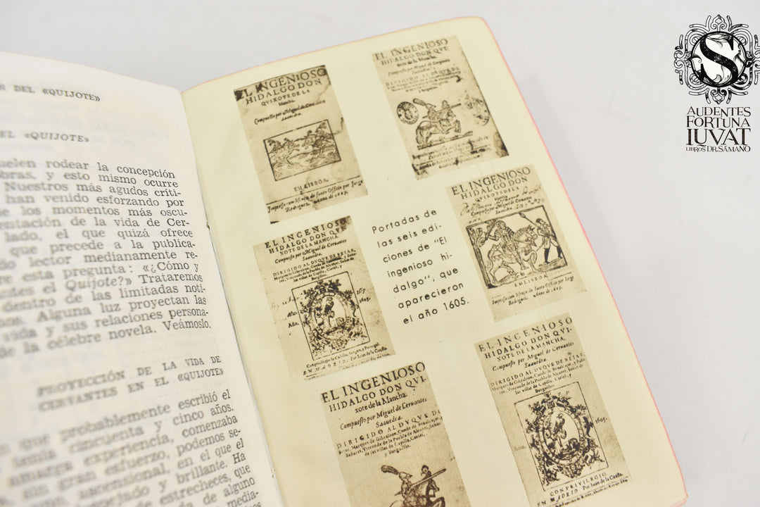EL INGENIOSO HIDALGO DON QUIJOTE DE LA MANCHA - Miguel de Cervantes Saavedra