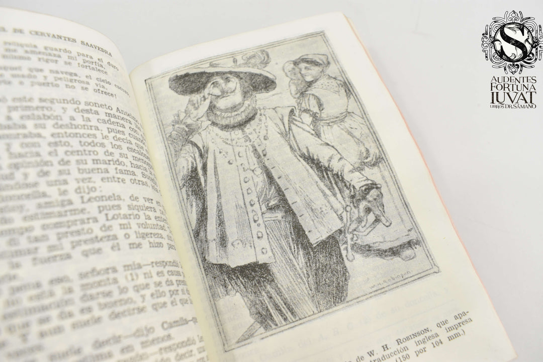 EL INGENIOSO HIDALGO DON QUIJOTE DE LA MANCHA - Miguel de Cervantes Saavedra