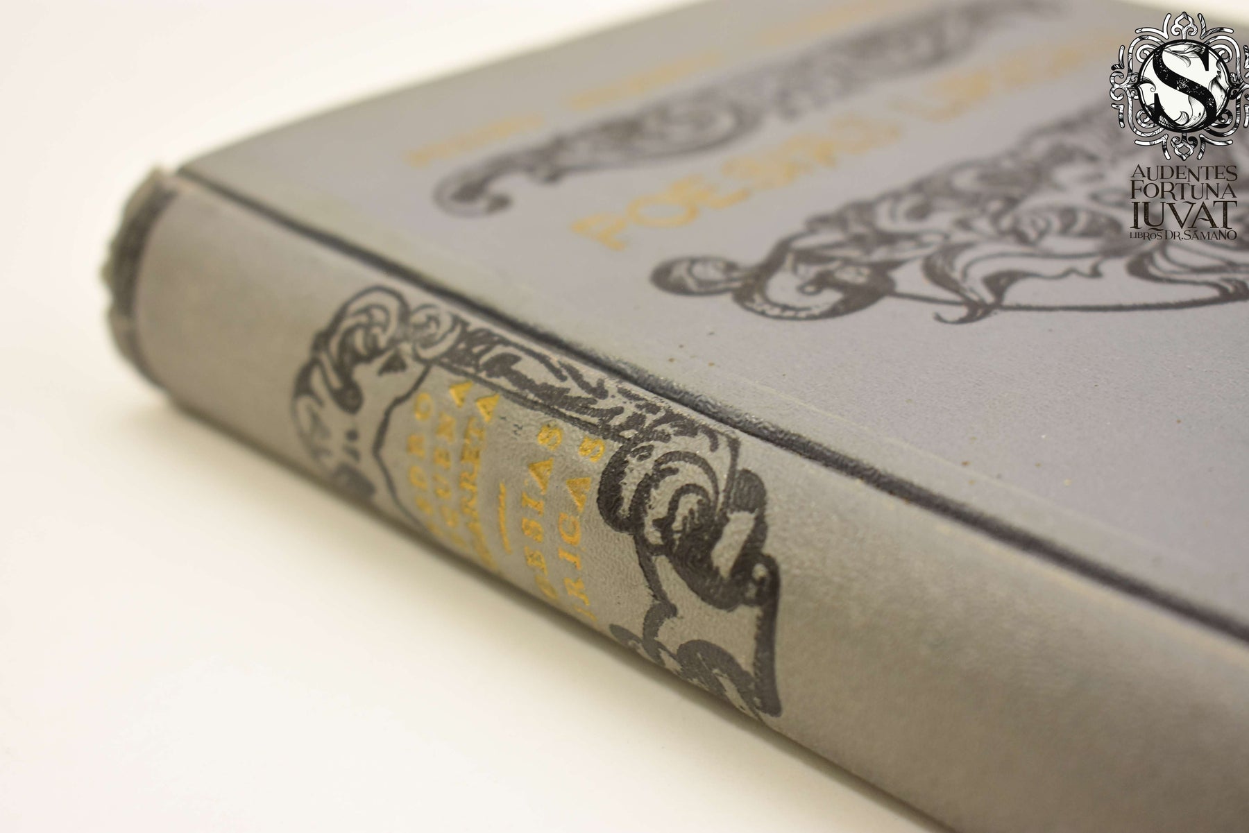 Poesía Líricas PEDRO REQUENA LEGARRETA Los Libros del Dr. Sámano