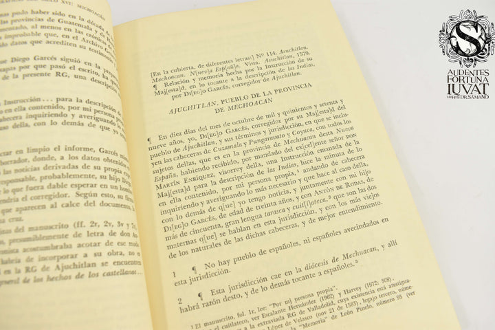 RELACIONES GEOGRÁFICAS DEL SIGLO XVI: MICHOACÁN -  Edición de René Acuña