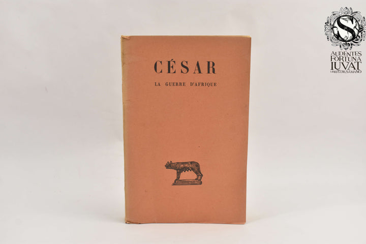 LA GUERRE DÁFRIQUE - César