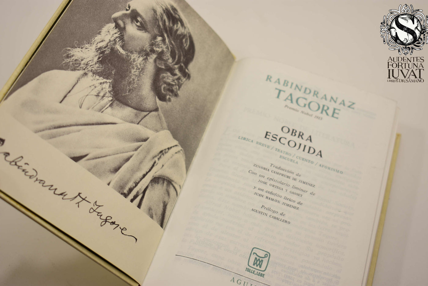 OBRA ESCOJIDA - Rabindranaz Tagore