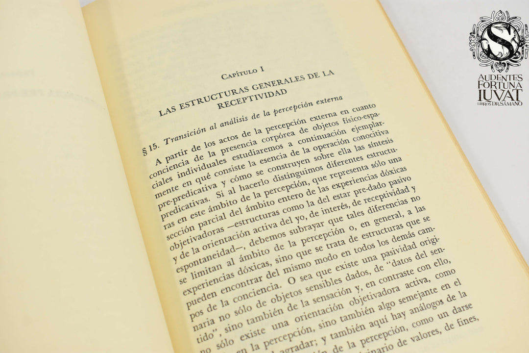 EXPERIENCIA Y JUICIO -  Edmund Husserl