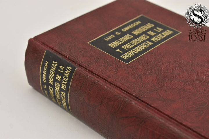 REBELIONES INDÍGENAS Y PRECURSORES DE LA INDEPENDENCIA MEXICANA - Luis G. Obregón