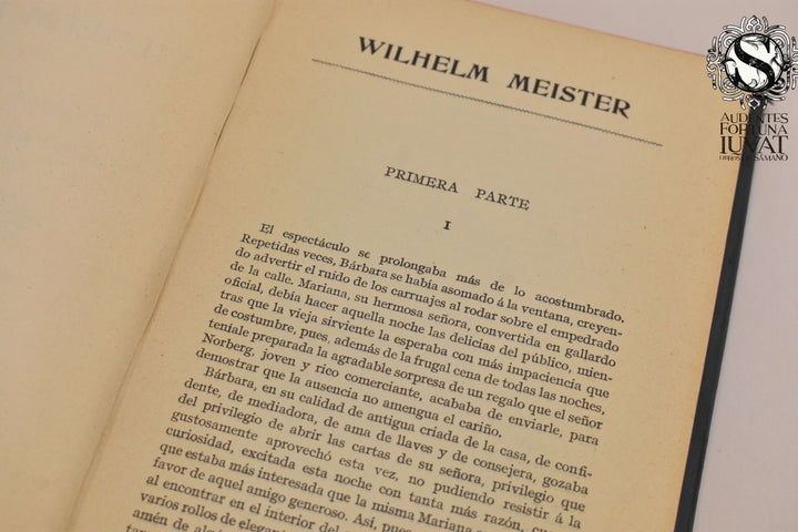 WILHELM MEISTER - Goethe