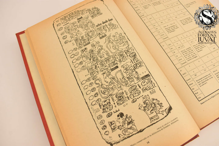 CÓDICES MAYAS