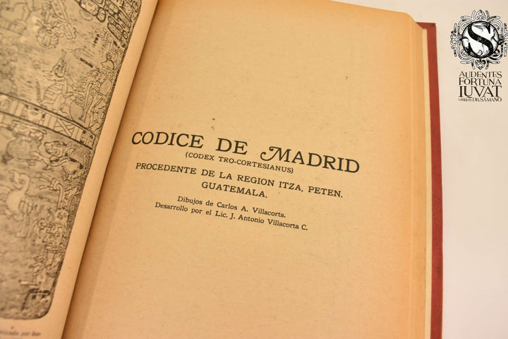 CÓDICES MAYAS