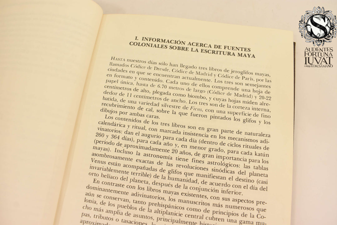 UN COMENTARIO AL CÓDICE DE DRESDE