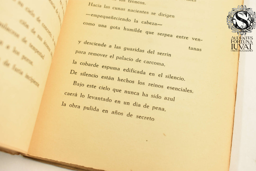 CONTRAPUNTO DE LA FE - Antonio Montes de Oca