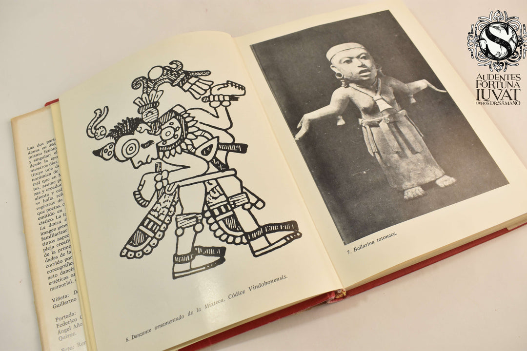 LA DANZA EN MÉXICO - Alberto Dallal