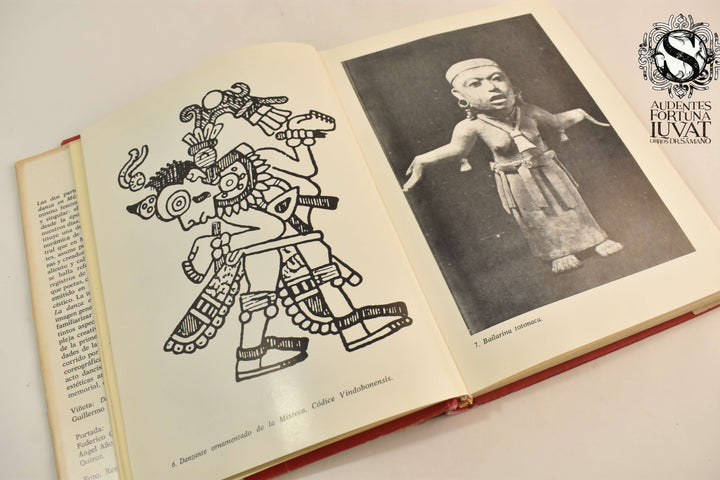 LA DANZA EN MÉXICO - Alberto Dallal