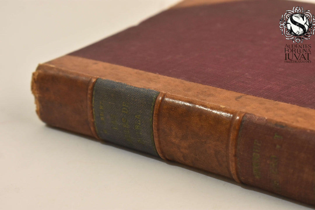 LAS CALLES DE PUEBLA - Hugo Leicht (Estudio Histórico)