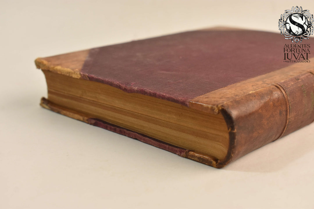 LAS CALLES DE PUEBLA - Hugo Leicht (Estudio Histórico)