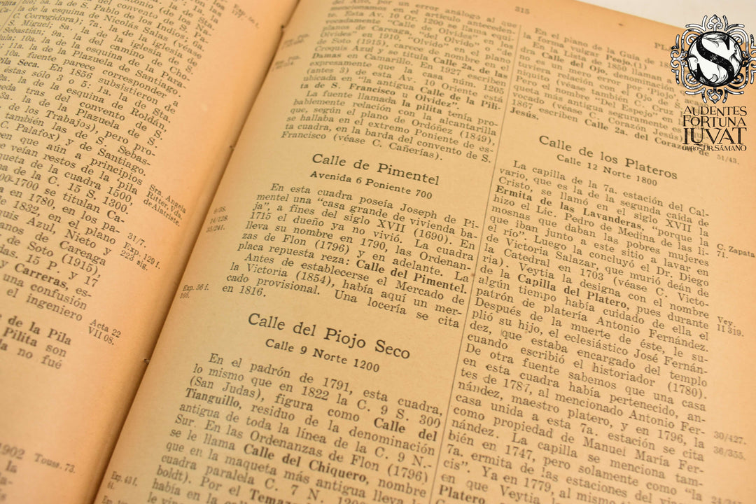 LAS CALLES DE PUEBLA - Hugo Leicht (Estudio Histórico)