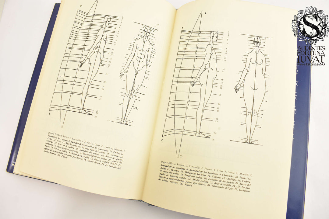 LOS CUATRO LIBROS DE LA SIMETRÍA DE LAS PARTES DEL CUERPO HUMANO - Alberto Durero