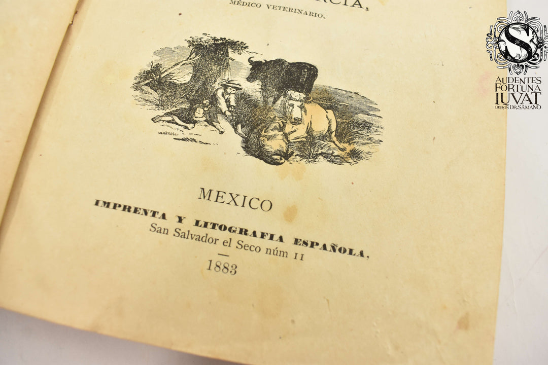 MANUAL DEL GANADERO MEXICANO -  C. Dillmann