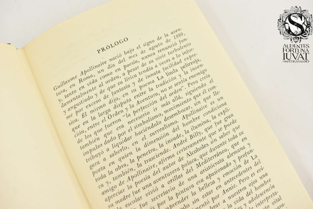 POESÍA - Apollinaire