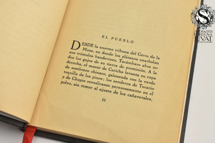 DESBANDADA - J. Ruben Romero