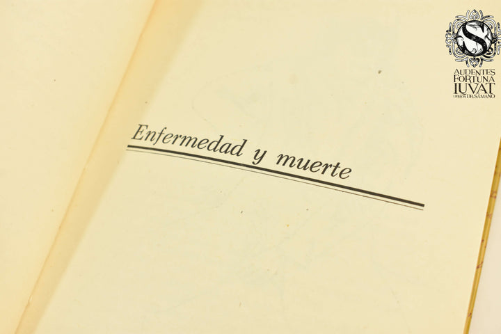 CONFESIONES DE JOSÉ LUIS CUEVAS - Alaíde Foppa