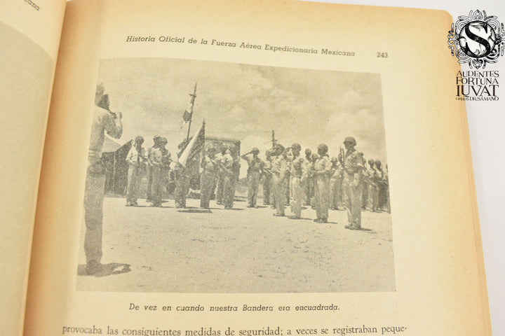 HISTORIA OFICIAL DE LA FUERZA AÉREA EXPEDICIONARIA MEXICANA - Enrique Sandoval Castarrica