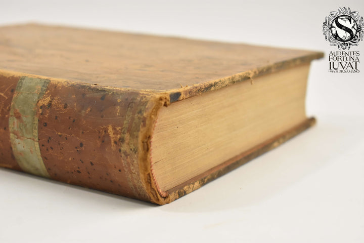 ROMA ARTISTICA Y LITERARIA - A. Grimaldi