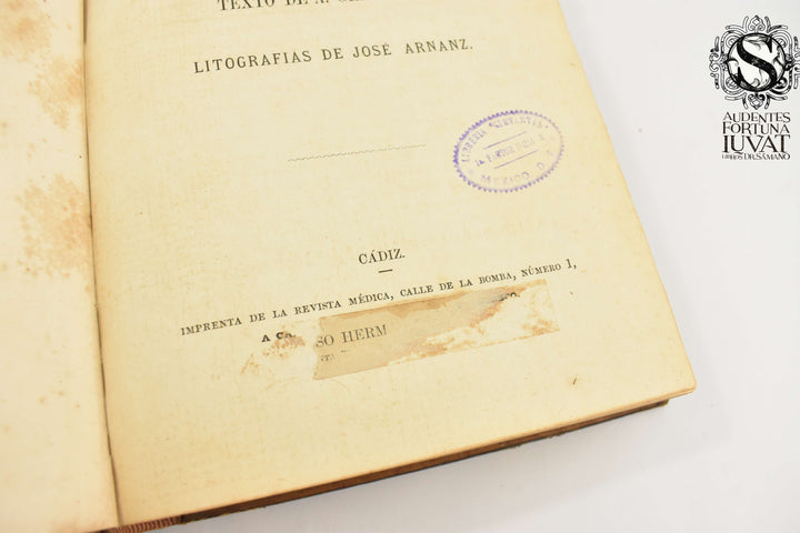 ROMA ARTISTICA Y LITERARIA - A. Grimaldi