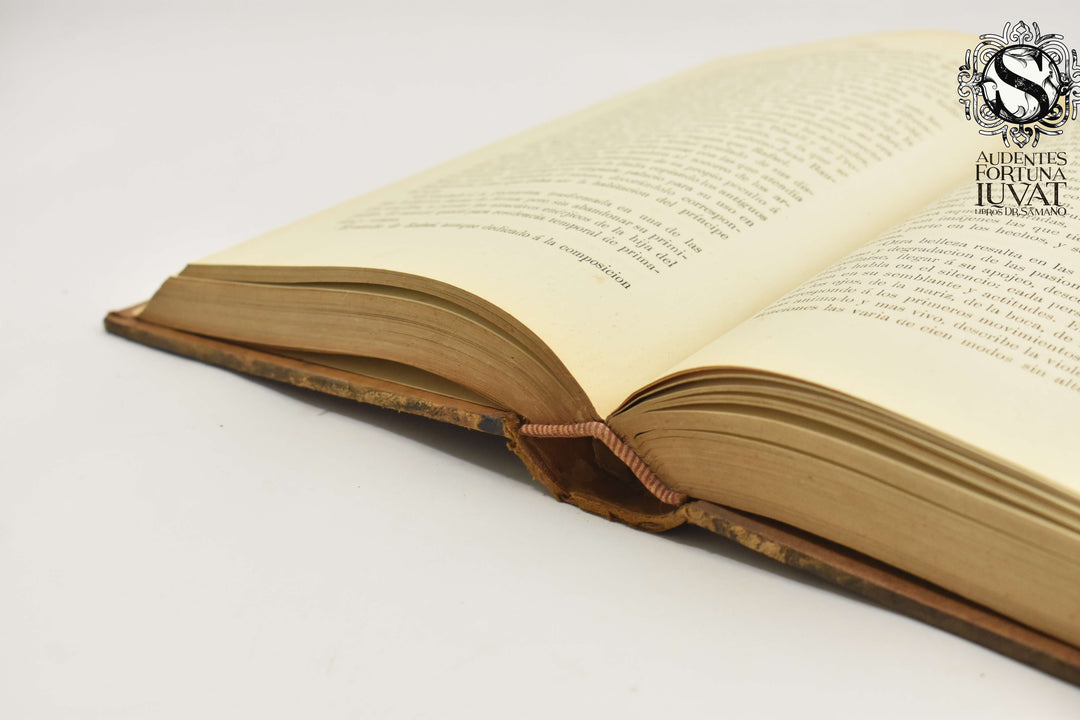 ROMA ARTISTICA Y LITERARIA - A. Grimaldi
