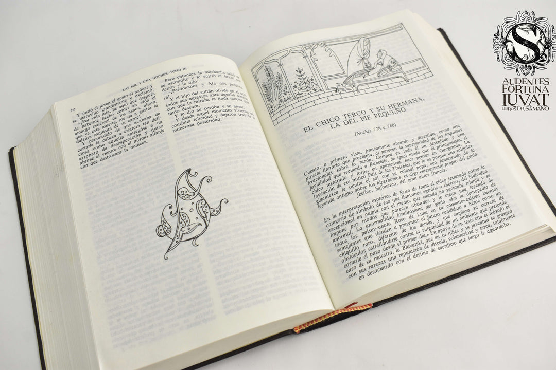 LIBRO DE LAS MIL Y UNA NOCHES
